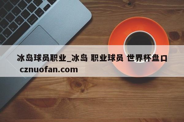 冰岛球员职业_冰岛 职业球员 世界杯盘口 cznuofan.com